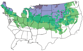 Hardiness Zone Map