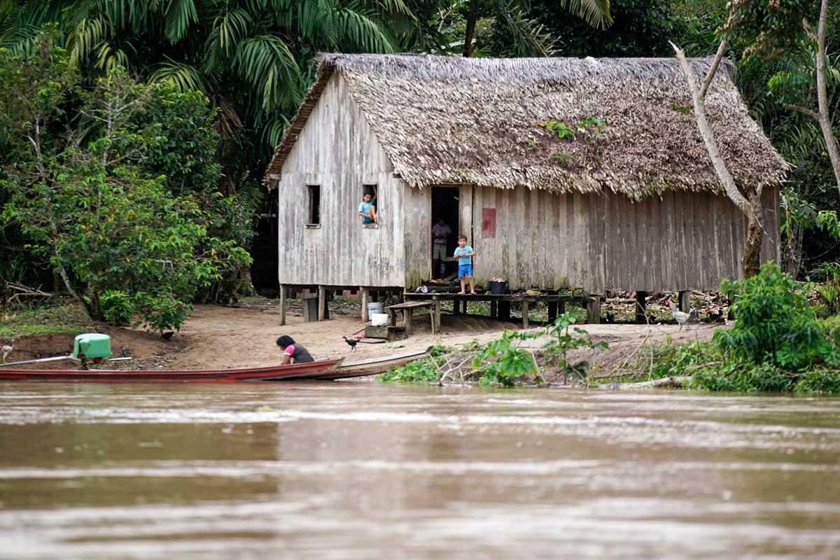 Amazon Rain Forest